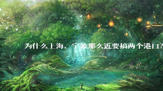 为什么上海、宁波那么近要搞两个港口？不会恶性竞争么？