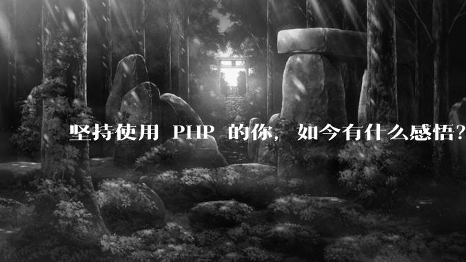 坚持使用 PHP 的你，如今有什么感悟？